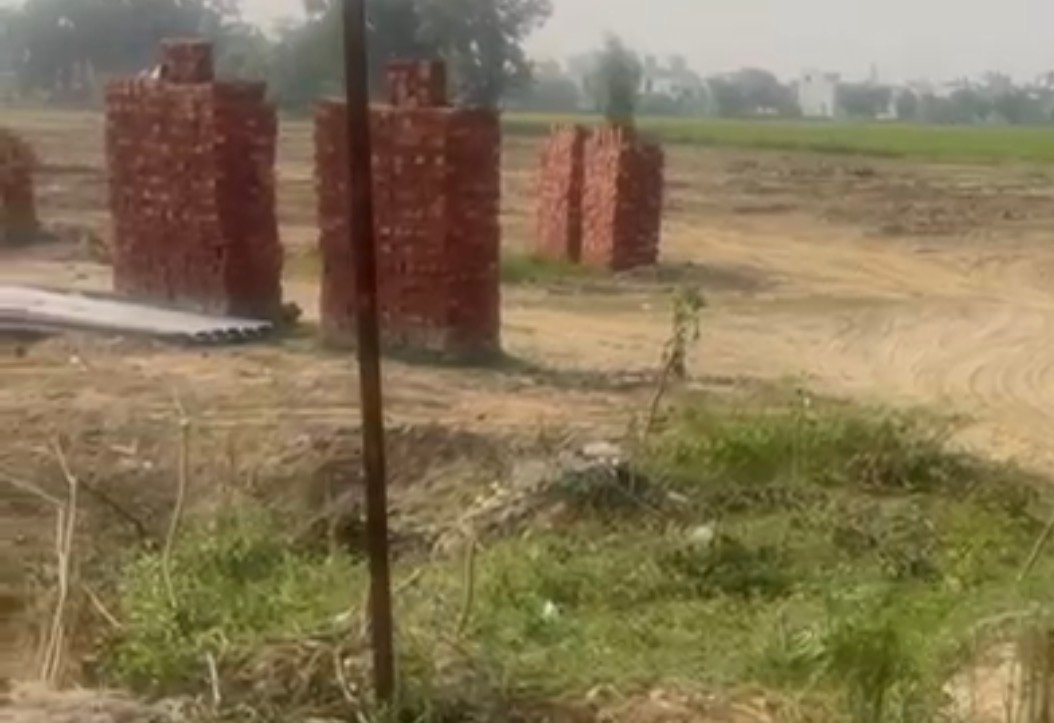 कालोनी काटने के चक्कर में 100 पेड़ों को लगा दी आग