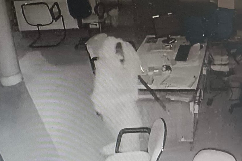 जालंधर में एक साथ तीन बैंकों में चोरी की वारदात-CCTV में क़ैद चोर